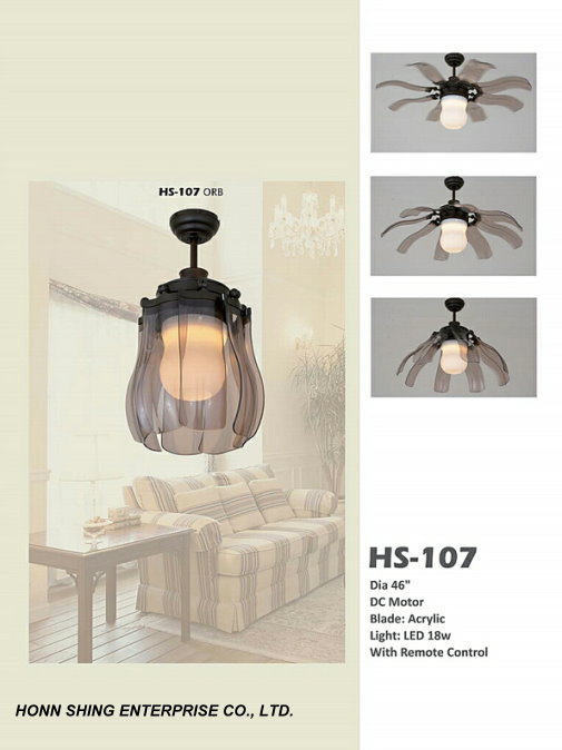 Ceiling Fan Light